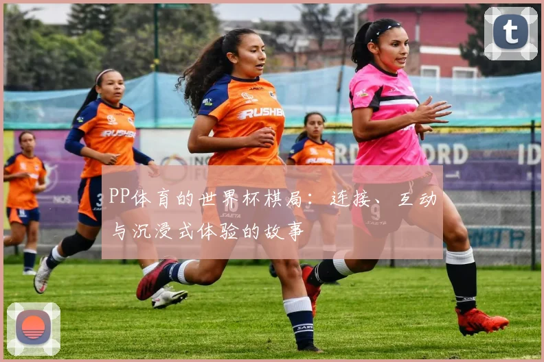 PP体育的世界杯棋局：连接、互动与沉浸式体验的故事