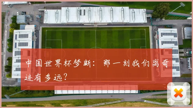 中国世界杯梦断：那一刻我们离奇迹有多远？