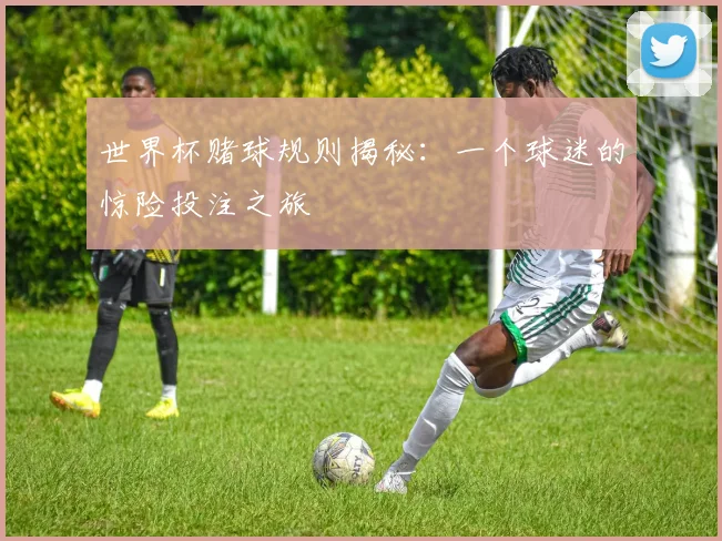 世界杯赌球规则揭秘:一个球迷的惊险投注之旅