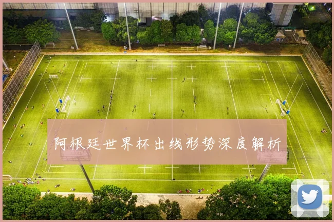 阿根廷世界杯出线形势深度解析
